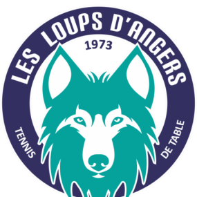 Image de l'article TENNIS DE TABLE : Loups d’Angers vs Roanne