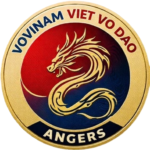 Image de l'article VOVINAM ANGERS CLUB VIET VO DAO