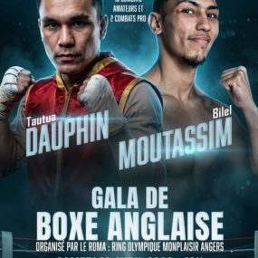 Image de l'article Gala de Boxe