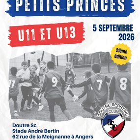 Image de l'article Tournoi des Petits Princes